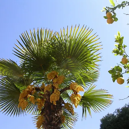 Hotel Ulisse Ischia